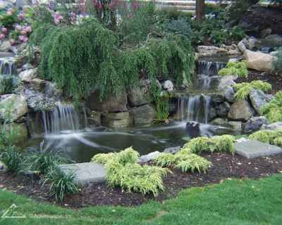 Mulch-and-Evergreens