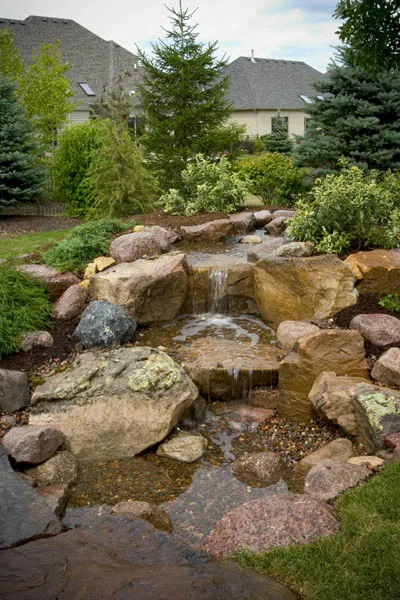 Backyard Waterfall with Evergreens