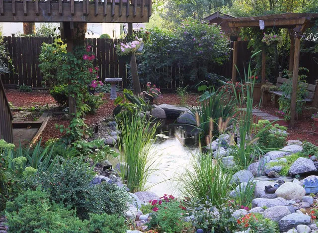 A water garden requires less maintenance than the same expanse of grass.