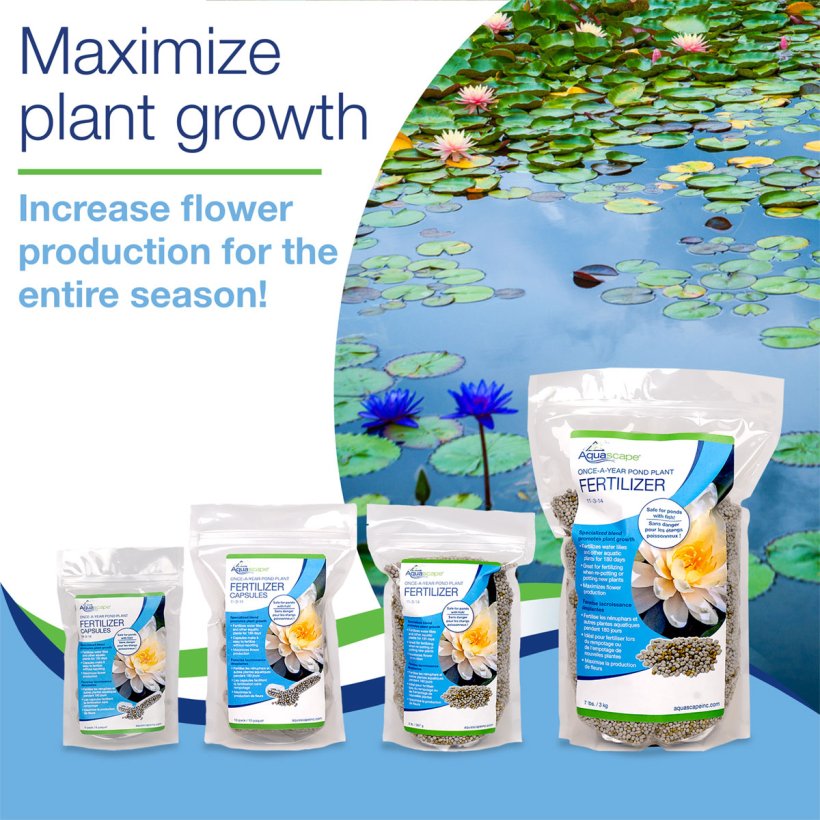 Once-A-Year Pond Plant Fertilizer Capsules - Image 12