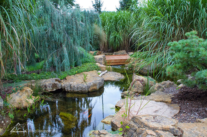 A wooden bridge invites you to explore a backyard water feature further.