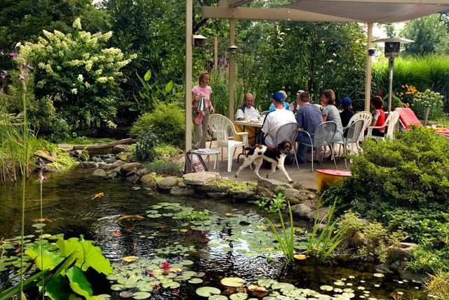 Outdoor Dining by the Pond