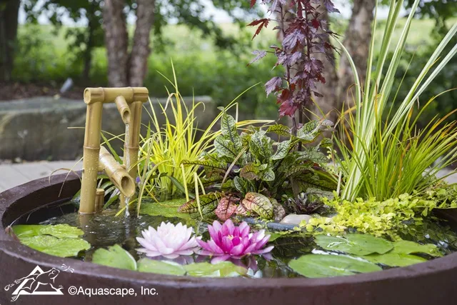 Patio Pond or Mini Pond - grow aquatic plants and enjoy the hobby of fish keeping