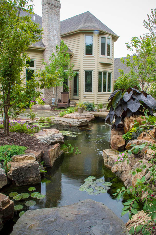 Suburban backyard is transformed into amazing oasis with pond, stream, and waterfalls.