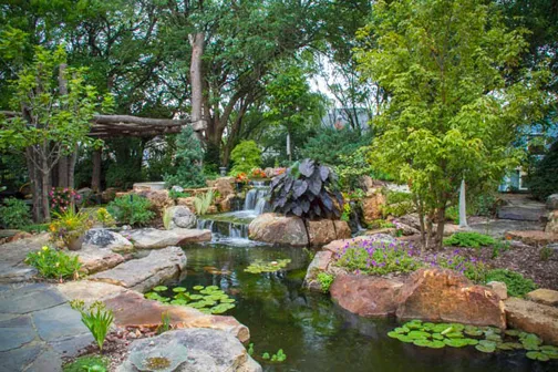 Taking center stage is a beautiful ecosystem fish pond with waterlilies and lush landscape.