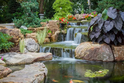 A stone bridge traverses the pond, beckoning visitors to explore more of this backyard paradise.