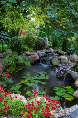 Backyard Pond with Healing Qualities