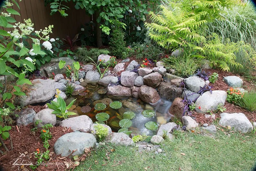Build a Pond or Water Garden in Your Yardlowes.com