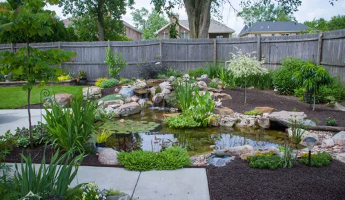 medium water garden and pond kit