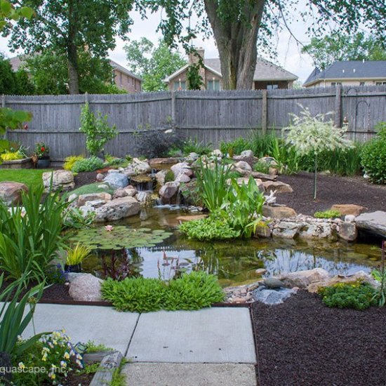 medium water garden and pond kit