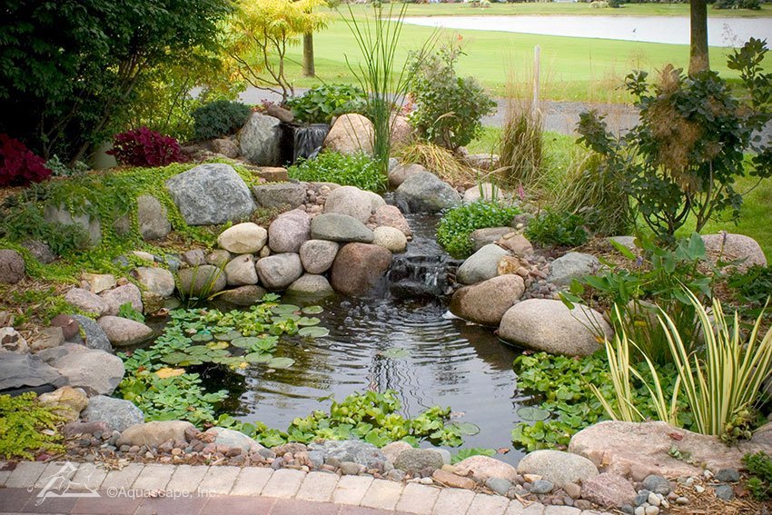 Water Garden, Ecosystem Ponds, Backyard Pond Designs ...