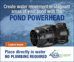 Pond Powerhead Ad 336x280 Aquascape Pond Powerhead