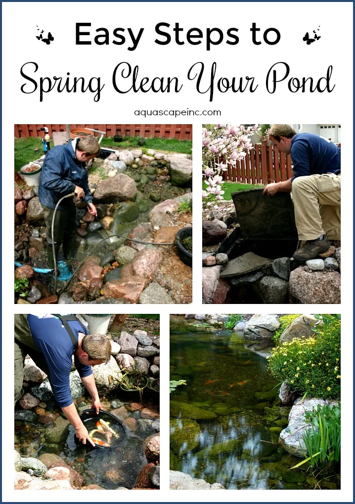 Successfully Clean Your Pond For Spring, How To Keep Outdoor Fish Pond Clean