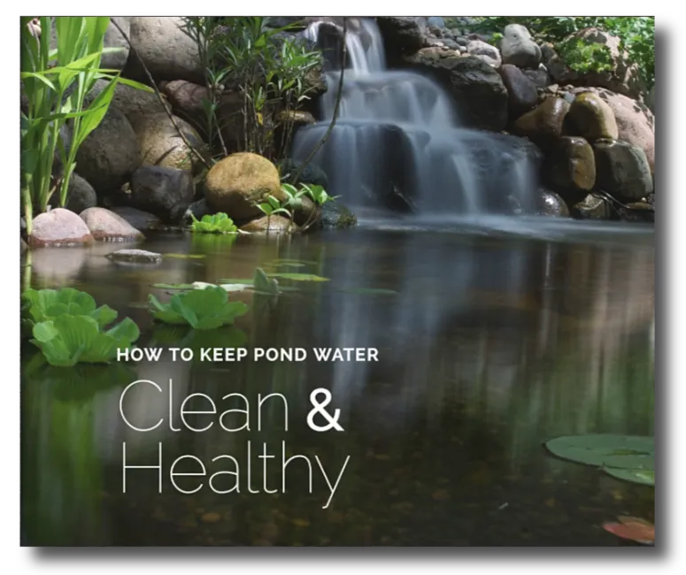 How to Keep Pond Water Clean and Healthy - ebook