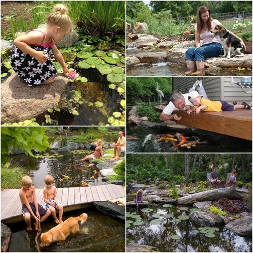 Some pond enthusiasts like to actively tinker in and around their pond, while other water gardeners prefer to relax by the patio listening to the sound of the waterfalls.