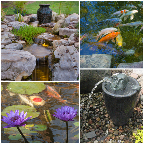 Add a dose of Mother Nature to your yard with water features. They attract birds, butterflies, frogs, and more.