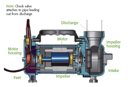 Cross section of Aquascape water garden pump