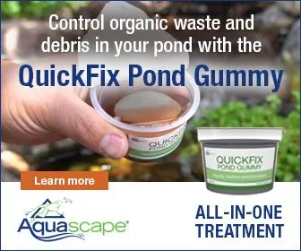 QuickFix Pond Gummy