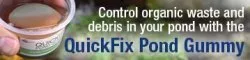 QuickFix Pond Gummy by Aquascape