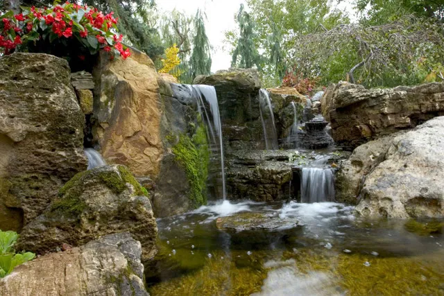 If rustic waterfall is more your style, jagged rocks will create what you need. 