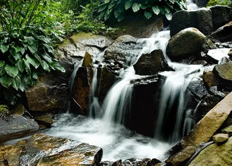 waterfall water feature