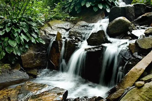 Adding a waterfall to a shady spot in your landscape can help bring out a dramatic effect. 