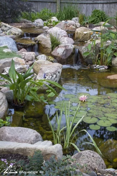 Backyard Garden Pond with Fish, Koi, Plants, Rock, and Gravel