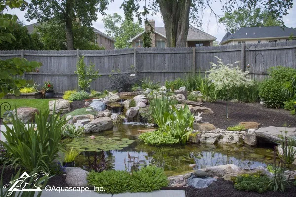 Backyard Aquascape Pond with Plantings