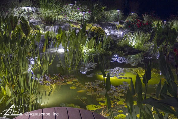 Pond Lighting at Night