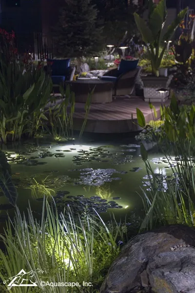 Backyard Pond Lighting