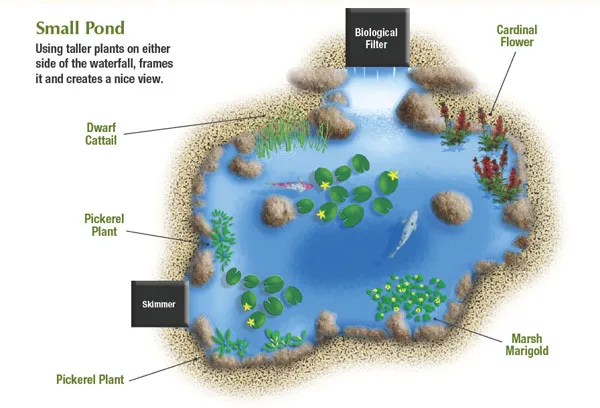 How to Plant a Small Pond