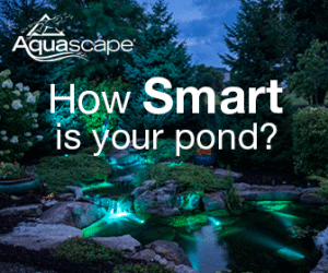 Smart Control Products for Ponds and Waterfalls