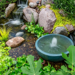 Aquascape Spillway Basin