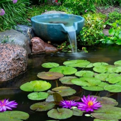 洋書 WATER FEAUTIRES FOR SMALL GARDENS Water Features for Small Spaces | HGTV