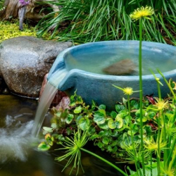 Aquascape Spillway Basin