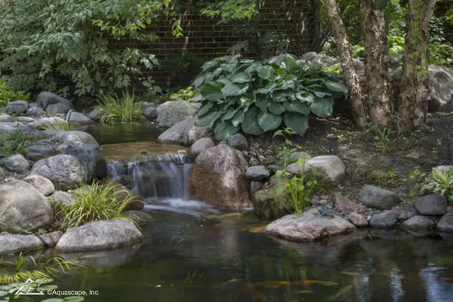 Springtime Pond Changes