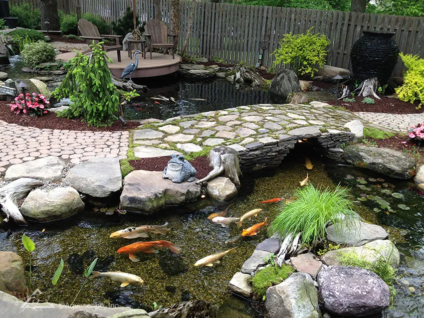 Secrets to a Crystal Clear Pond, Trouble Free Pond Maintanance