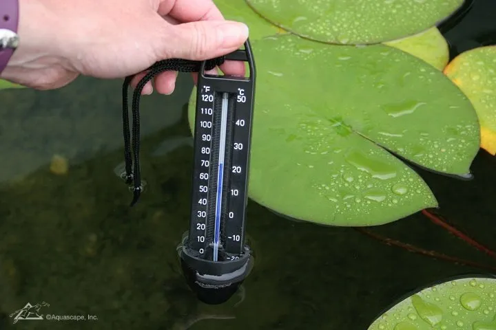 pond thermometer