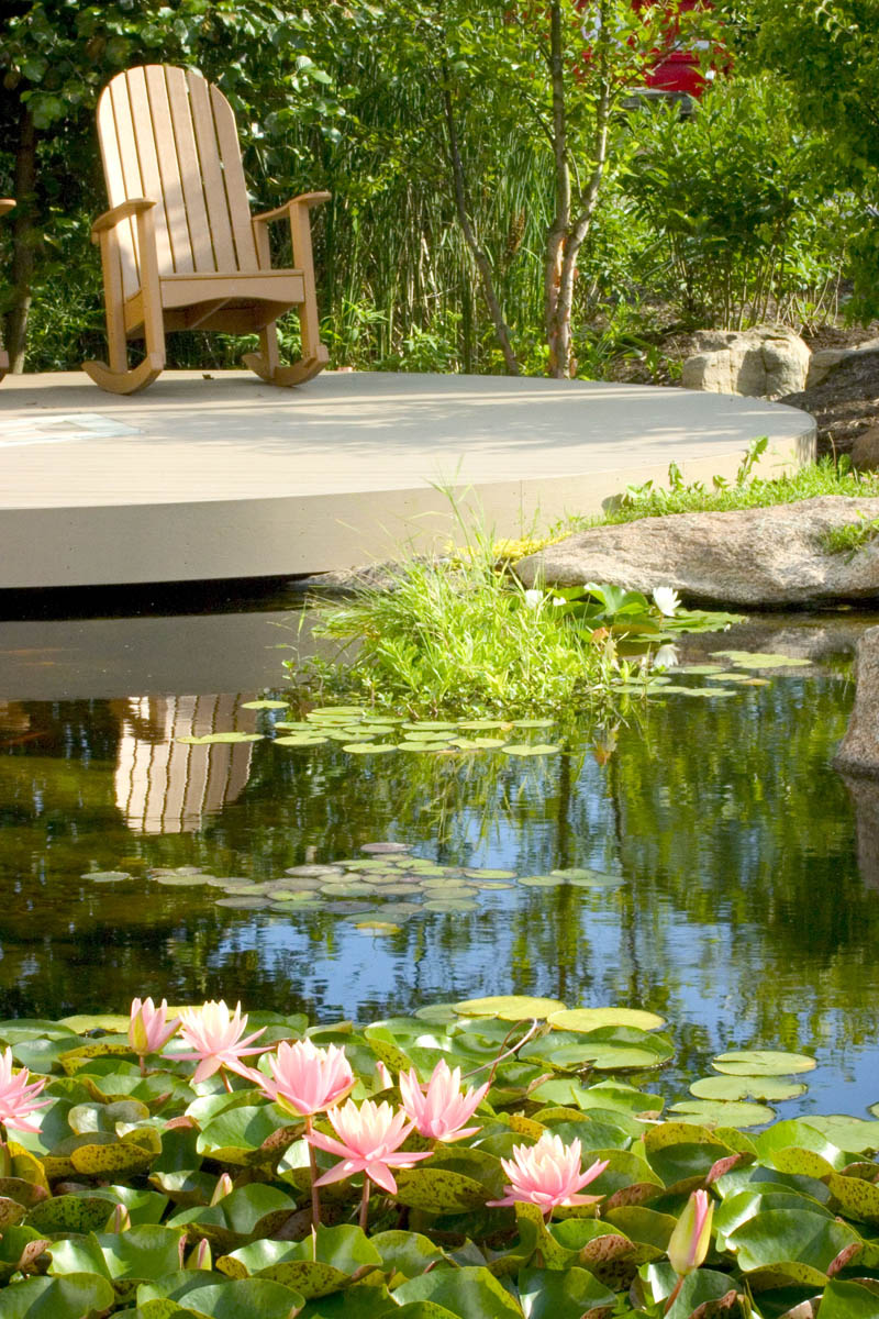 Enjoying a Summer Pond