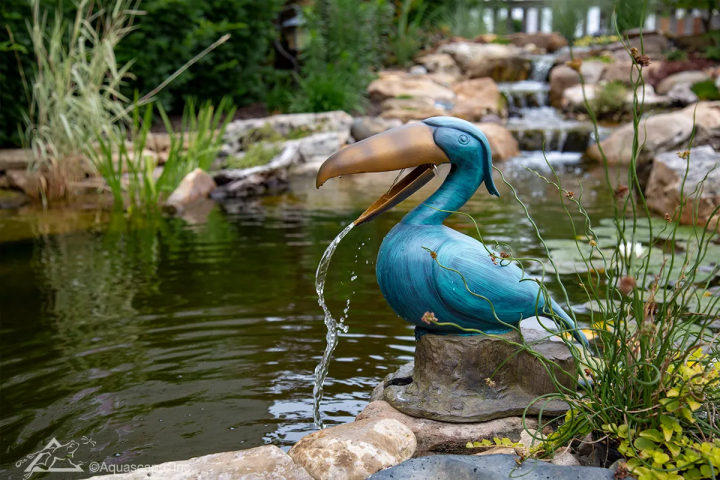 Toucan spitter for ponds and waterfalls