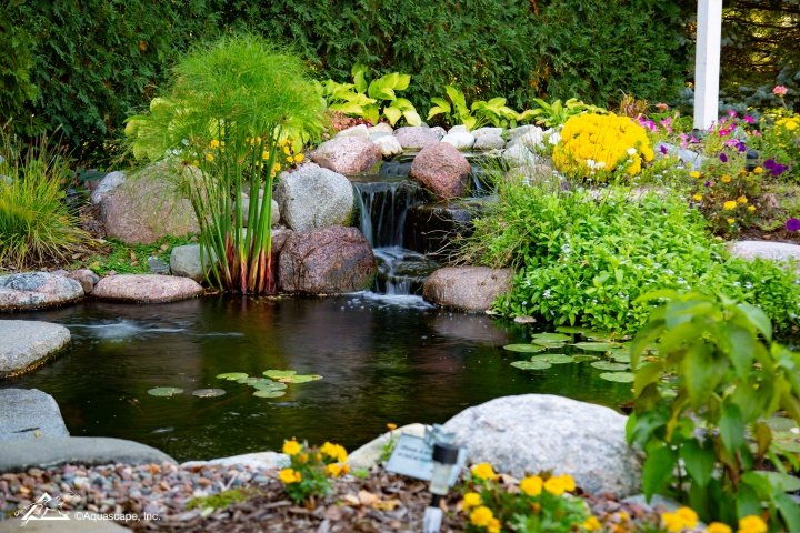 9 Tips for Winterizing Your Pond - Aquascape, Inc.