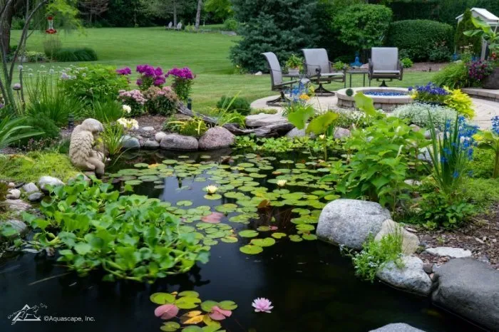 Summer Pond