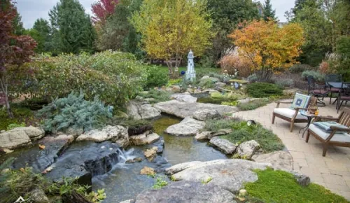 Simple fall pond care tips