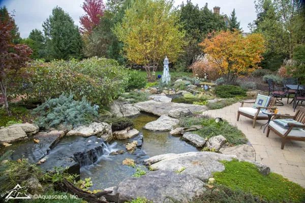Simple fall pond care tips