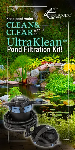 UltraKlean Pond Filtration Kit