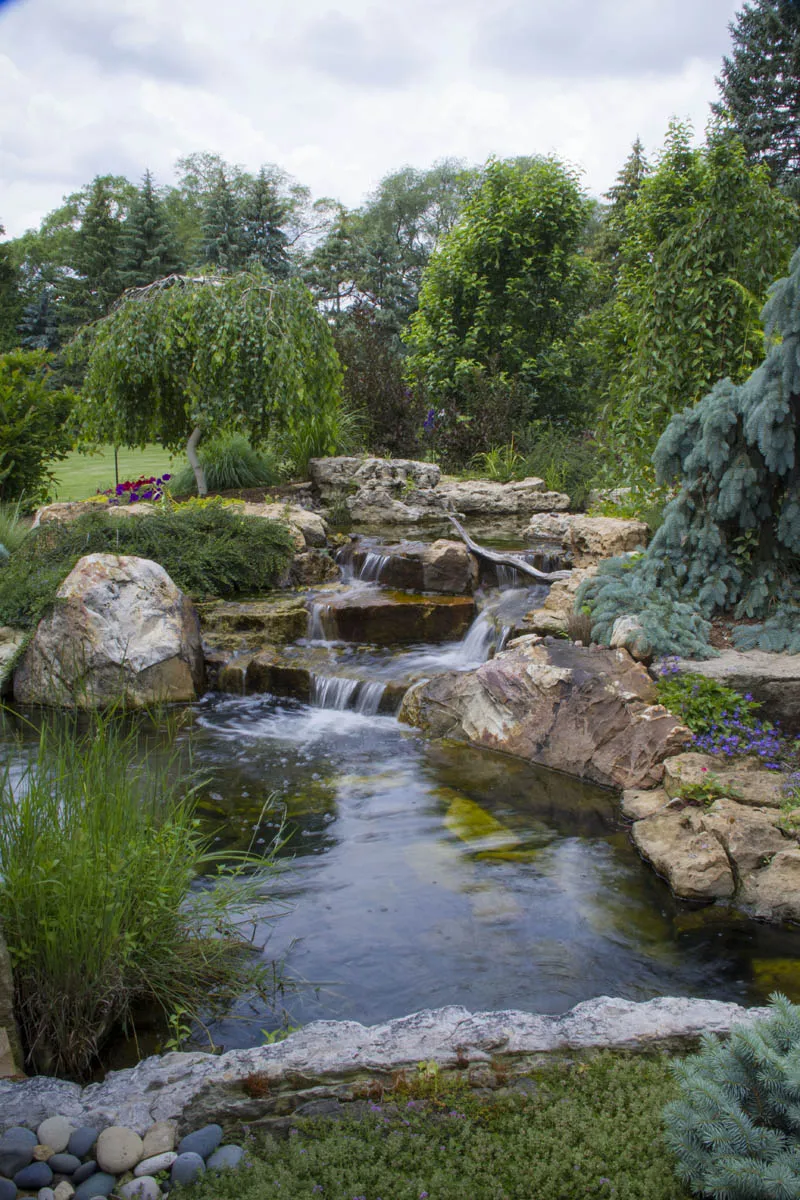 Ultimate Backyard Oasis with Pond and Waterfall
