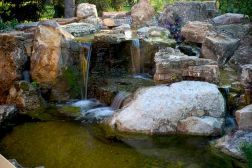 Ask your pond contractor to choose rocks with moss and an aged appearance if you want a rustic look.