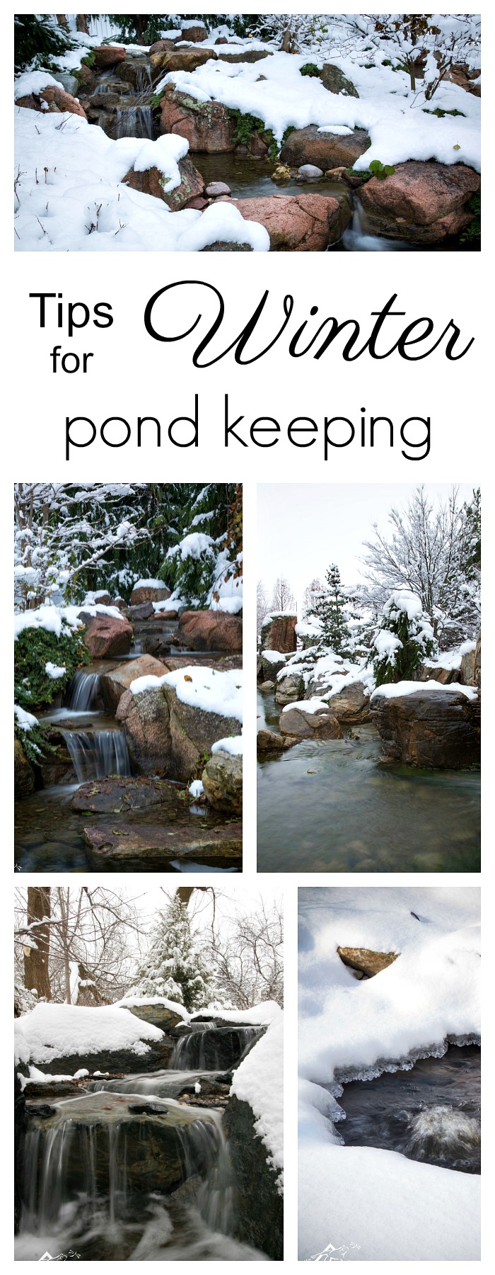 How to Maintain a Pond During the Winter Season