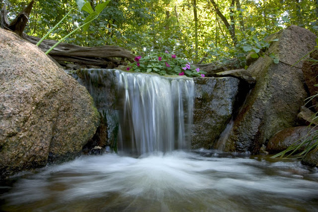 Do you have a wooded backyard? Don't sweat fitting a waterfall into the landscape. Let the stream wind around the trees before emptying into a crystal clear pond.