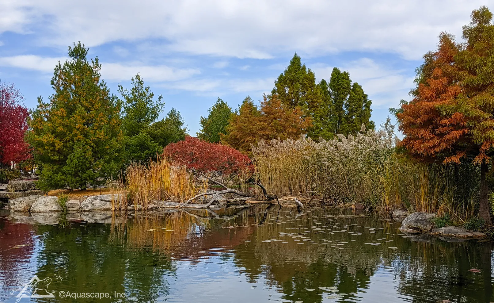 aqualand wetland filter